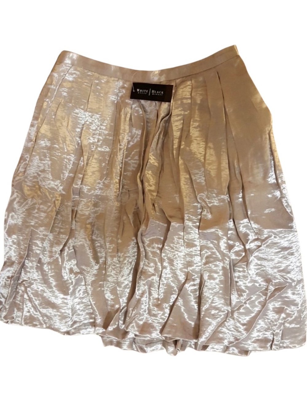 Fun Shiny Skirt